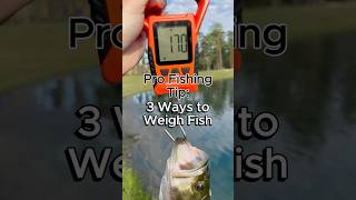 How to Weigh Fish Three Ways #fishing #bassfishing #howto #fishingtips