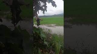 #bukidlife