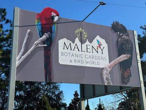 Have a fun in Maleny with Daljeet and Harnoor