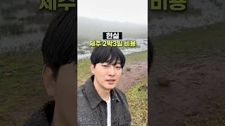요즘 제주 2박3일 비용