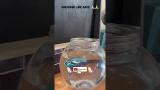 Robo fish😍robo fish unboxing & review/ zuru robot fish #zuru #asmrtoys #toysunboxing #toys #shorts