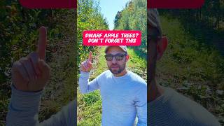Don’t Forget This With Dwarf Apple Trees #shorts #fruittrees #orchard #gardening #fruittree #fruit