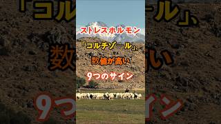 ストレスホルモン「コルチゾール」、数値が高い9つのサイン #知恵 #雑学 #開運 #名言