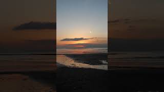 쓸쓸함 터지는  노래 | 쓸쓸한 노을 | - AI 노래/작곡/작사, 쓸쓸함을 느끼는 노래