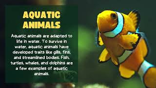 Animal Habitats Educational For Kids