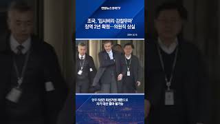 조국, '입시비리·감찰무마' 징역 2년 확정…의원직 상실