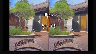 [FULL]조선시대의 첫사랑은 이런 감성이었을까?🥹❤️ 백아 - 첫사랑 가야금커버