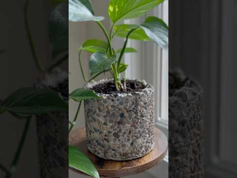 How to Make a Concrete Planter from a Yogurt Cup