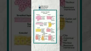 Some important points for NEET 2025 #study #neetpyqs #shorts #biology #pyq #neet #exam #neetstudy