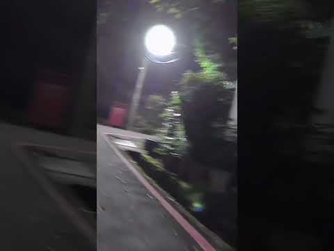 Papago 3後車尾夜視