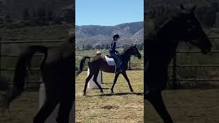 Week 1 Gymkhana lesson!🐴. #horseriding #horsevlog