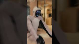 Nividia Neo Gamma Your Home Future #ai #nividia#neogamma#robot