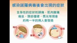 兩分鐘教您預防諾羅病毒感染
