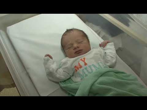 Stork Walk Video
