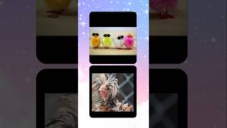 Choose your giftbox | Funny vs Cute😍 #brainbytes #chooseyourgift #gift
