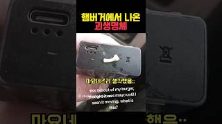 햄버거에서 나온 괴생명체