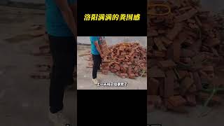 洛阳连续大雨，大街上满满的粪围感！#奥力给