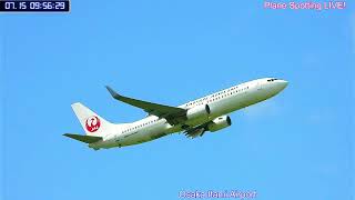 整備欠航！Cancelled 天草エアライン・みぞか号生中継！伊丹空港!! Plane Spotting Osaka Itami Airport 07/15/2025