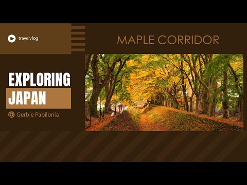 #japantravel 2024 / The Maple Corridor / Best nature-based tourist spots