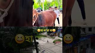 #foryouシ #viralvideo #comedy