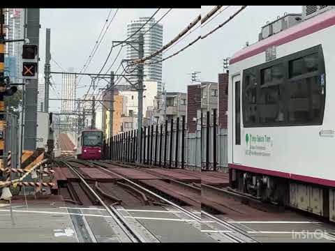 冷やしこいし鬼子母神