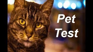Pet Test - Norvegian trailer
