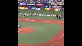 スポンサーのご子息に跪き忠誠を誓う BsGirls　#オリックスバファローズ #shorts