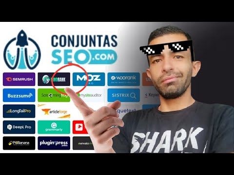 Conjuntasseo.com | Herramienta SEO LOCAL para Empresas