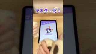 【ポケポケ】ついにマスターランクに！？【無課金】 #ポケモン #ポケカ