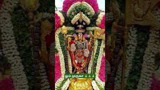 ஓம் முருகா 🙏🙏🙏#ommuruganthunai #ஓம்முருகாபோற்றி #devotional #முருகன்துணை #motivation #முருகாசரணம்