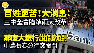 😡💰百姓更苦！大消息：三中全會瞄準兩大改革；那麼大銀行說倒就倒！中農長春分行突關門；美國之音：極罕見！遭中共活摘倖存者首次親曝慘痛經歷；三中全會稅改能解決「分贓不均」問題嗎？【阿波羅網KM】