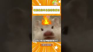 喝醉酒真的不是犯罪的理由！！ #社会 #热点 #法律#shorts