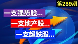 第239期：👉👉  一支强势股... 一支地产股... 一支超跌股...  台积电TSM，Simon西蒙地产 SPG，LuFax陆金所 LU。美股投资