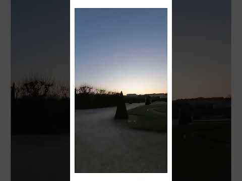 10k steps everyday for 100 days | day 31