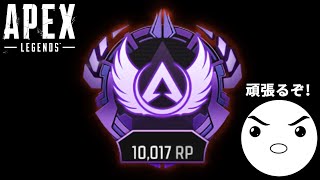 エキサイトApex：Road to Master. sp1｜Apex Legends
