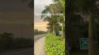 60 Seconds, Countless Vibes ✨ #calmvibes #positivemood #lifeisbutadream #nature #wildlife ❤️