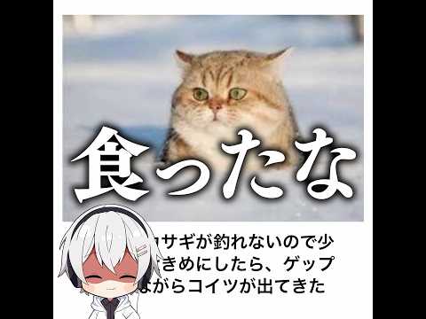 【お蔵入り】殿堂入りボケてがマジでツッコミどころ満載だったwww 【1581弾】