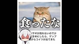 【お蔵入り】殿堂入りボケてがマジでツッコミどころ満載だったwww 【1581弾】