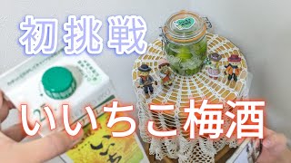 いいちこ梅酒　つくりました