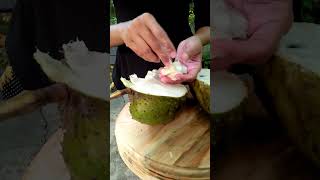 Healthy Katu Anoda(Soursop) Drink🍐😋| Nadee's Kitchen
