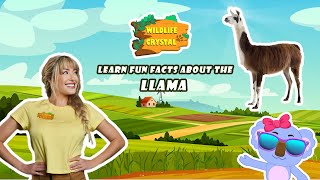 Llama Facts