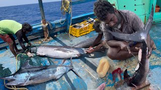 Great 🤩The Twelfth Day Of Our Stay In The Deep Sea‼️Cooking the Biggest Fish💢