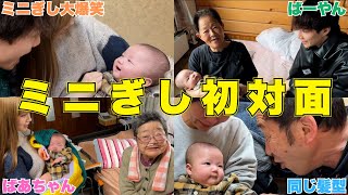 ミニぎしと実家に帰省しておばあちゃん達と初対面させてみた