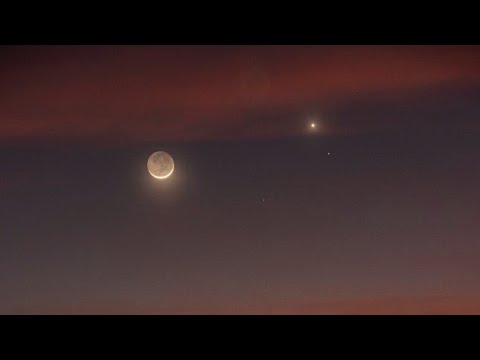 Moon and Venus Conjunction 🤯 | Does It Really Happened #shorts #viral