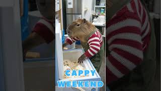 Cappy Weekend Everybody #capibara #happyweekend #animalloversclub #aiartworld