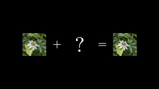 ResNet (actually) explained in under 10 minutes