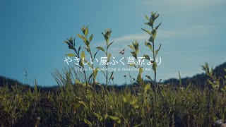 やさしい風ふく草原より 環境音 ambient sound |  ASMR | 睡眠