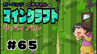 ＃６５　マイクラサバイバル　無言配信　サトウキビ畑作り
