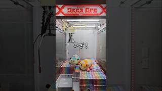 【超巨大!!】三本爪のデカクレを購入してみた！ #クレーンゲーム #UFOキャッチャー #確率機
