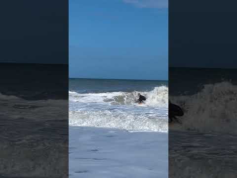 #surfing in #verobeach  - not easy..